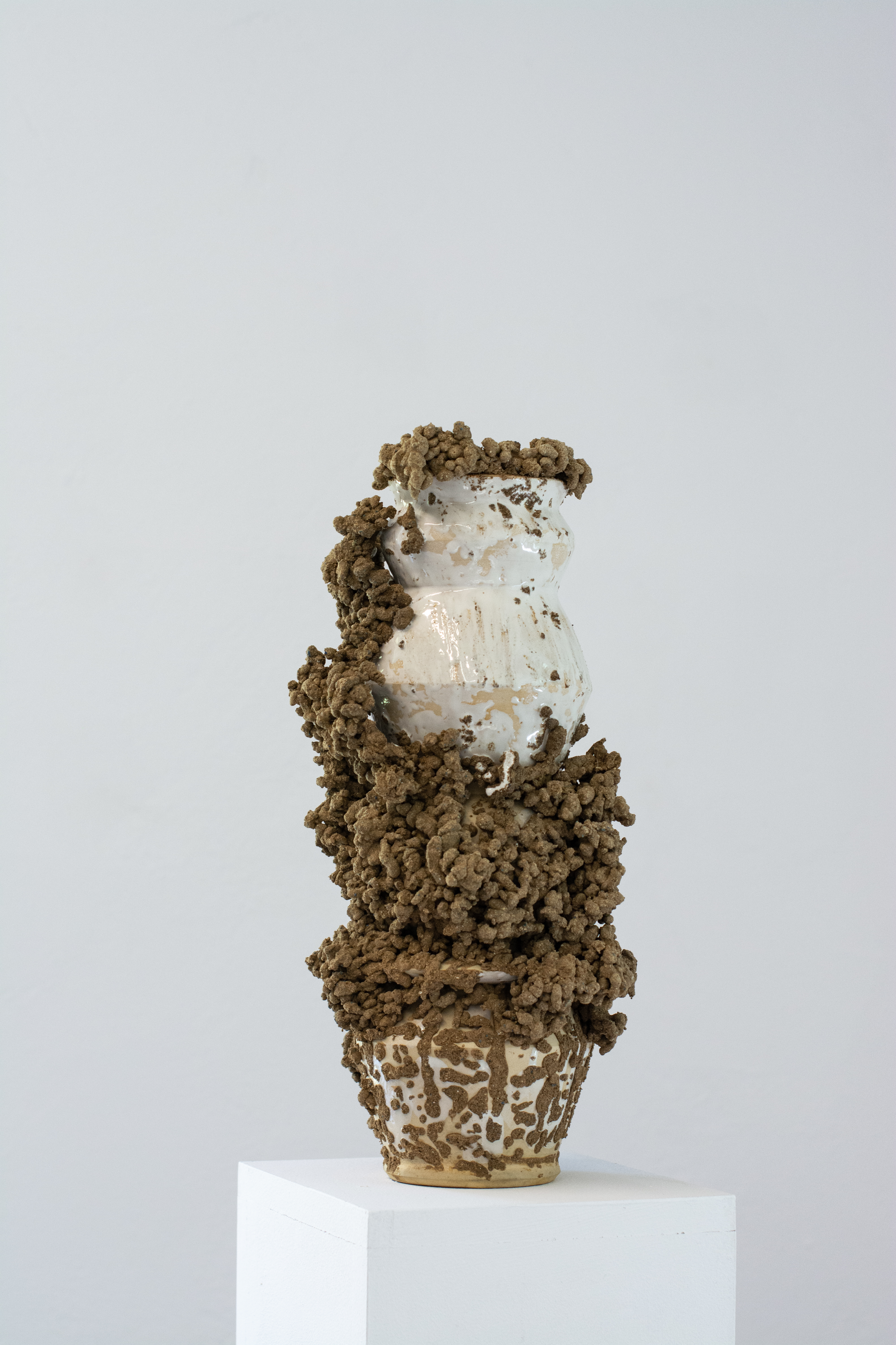 Final varnish under studio lights