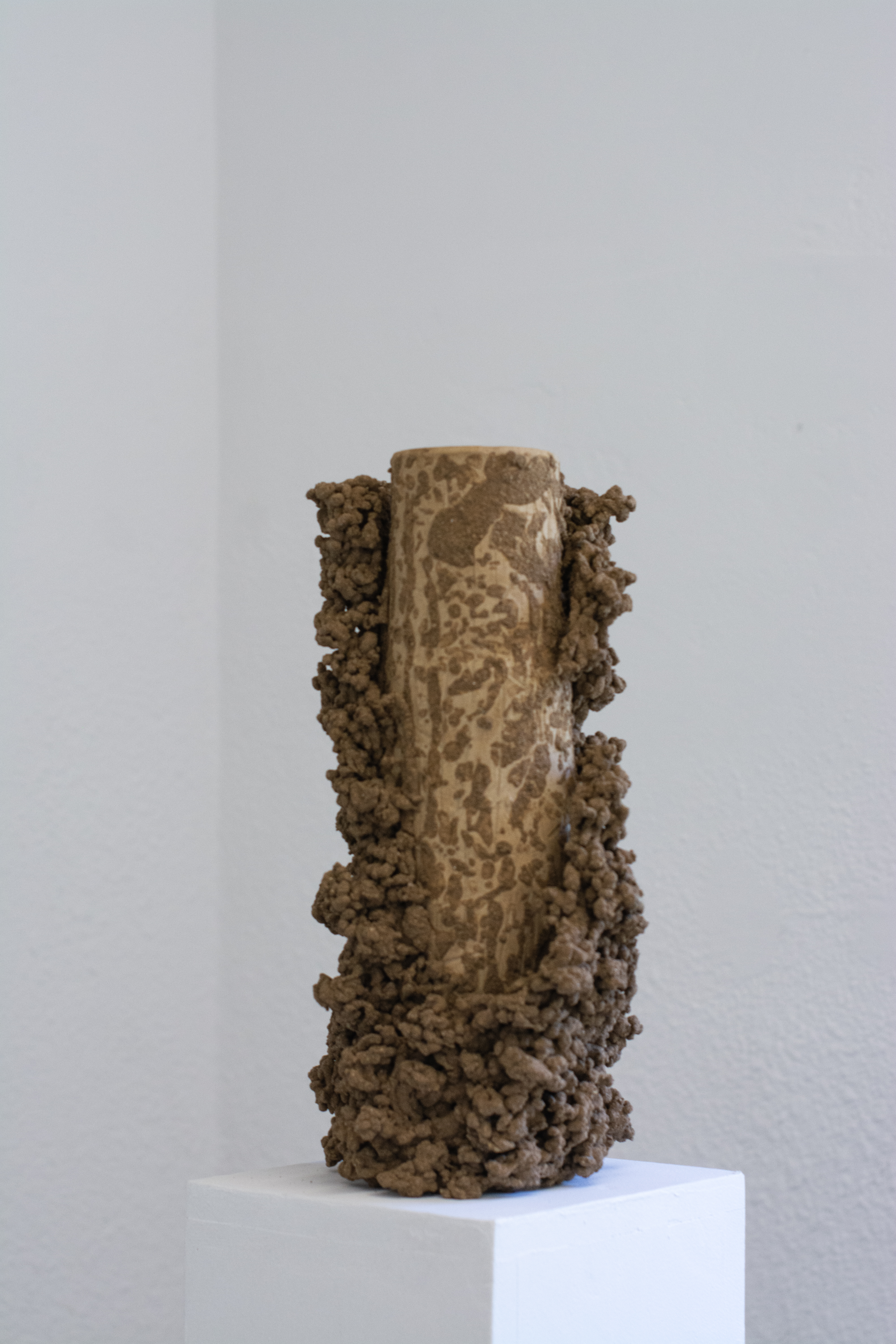 Final varnish under studio lights