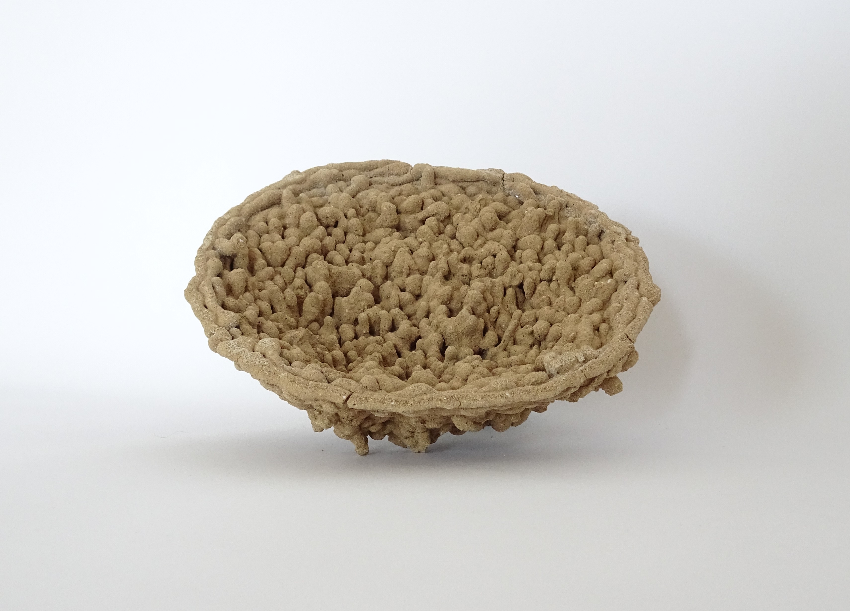 Concretion 06 2024 - stoneware - 5x16x5 cm