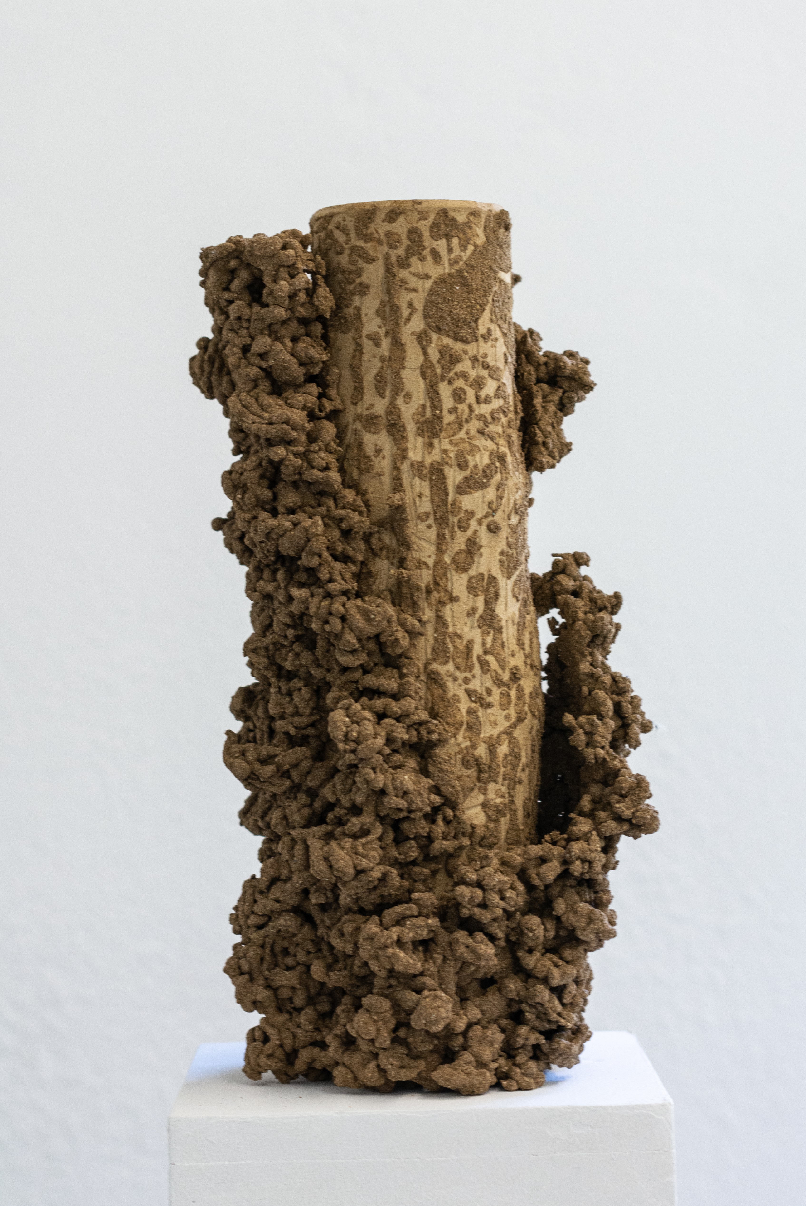Concretion 06 2024 - stoneware - 40x16x15 cm